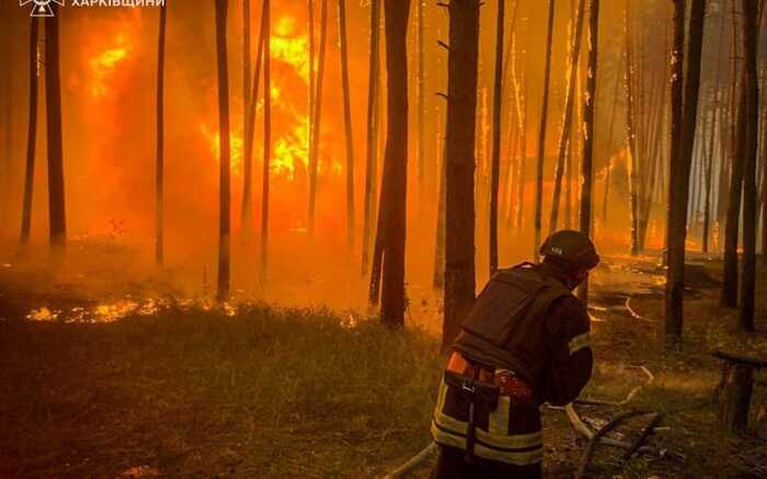 Через ворожі обстріли на Миколаївщині горів хвойний ліс